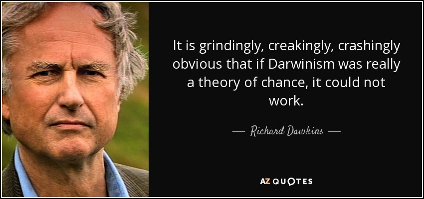 It is grindingly, creakingly, crashingly obvious that if Darwinism was really a theory of chance, it could not work. - Richard Dawkins