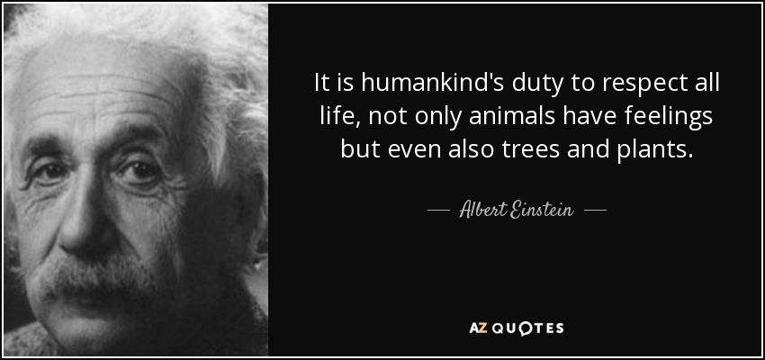 It is humankind's duty to respect all life, not only animals have feelings but even also trees and plants. - Albert Einstein