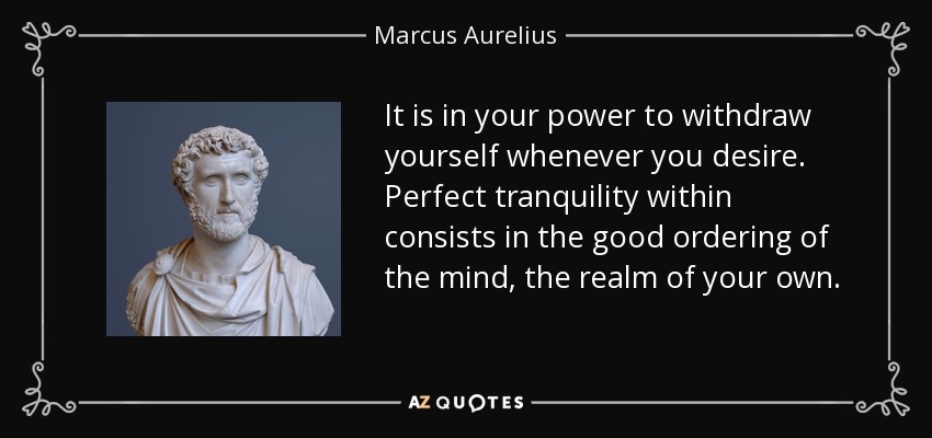It is in your power to withdraw yourself whenever you desire. Perfect tranquility within consists in the good ordering of the mind, the realm of your own. - Marcus Aurelius