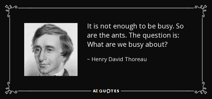 It is not enough to be busy. So are the ants. The question is: What are we busy about? - Henry David Thoreau