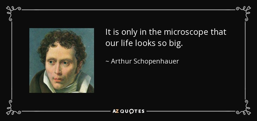 It is only in the microscope that our life looks so big. - Arthur Schopenhauer