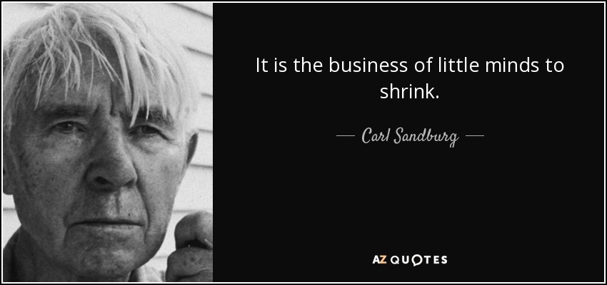 It is the business of little minds to shrink. - Carl Sandburg