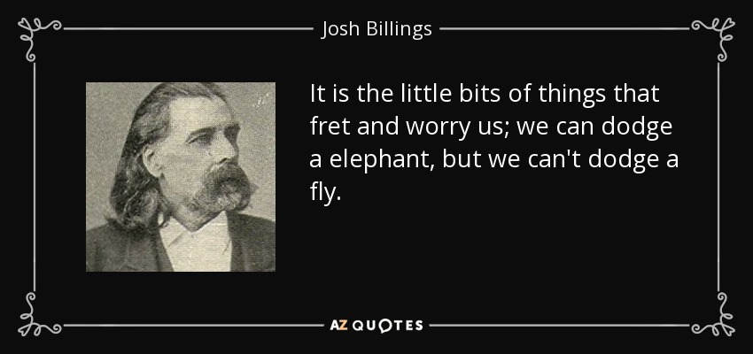 It is the little bits of things that fret and worry us; we can dodge a elephant, but we can't dodge a fly. - Josh Billings