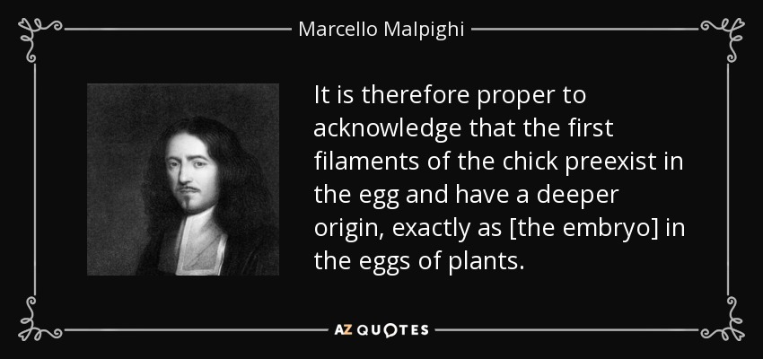 It is therefore proper to acknowledge that the first filaments of the chick preexist in the egg and have a deeper origin, exactly as [the embryo] in the eggs of plants. - Marcello Malpighi