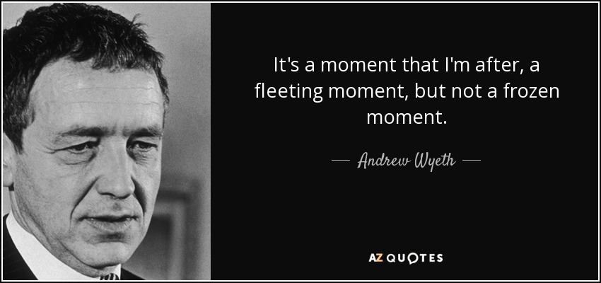 It's a moment that I'm after, a fleeting moment, but not a frozen moment. - Andrew Wyeth