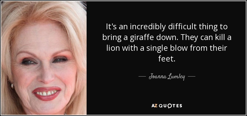 It's an incredibly difficult thing to bring a giraffe down. They can kill a lion with a single blow from their feet. - Joanna Lumley