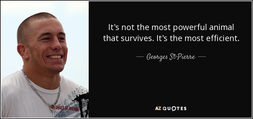 It's not the most powerful animal that survives. It's the most efficient. - Georges St-Pierre