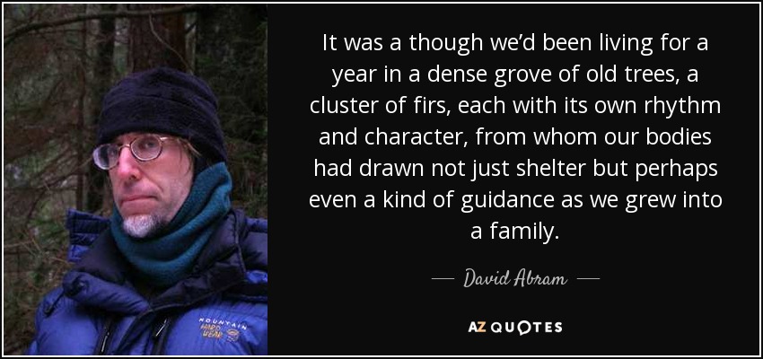 It was a though we’d been living for a year in a dense grove of old trees, a cluster of firs, each with its own rhythm and character, from whom our bodies had drawn not just shelter but perhaps even a kind of guidance as we grew into a family. - David Abram