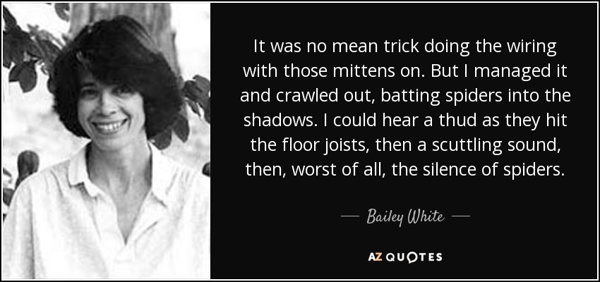 It was no mean trick doing the wiring with those mittens on. But I managed it and crawled out, batting spiders into the shadows. I could hear a thud as they hit the floor joists, then a scuttling sound, then, worst of all, the silence of spiders. - Bailey White