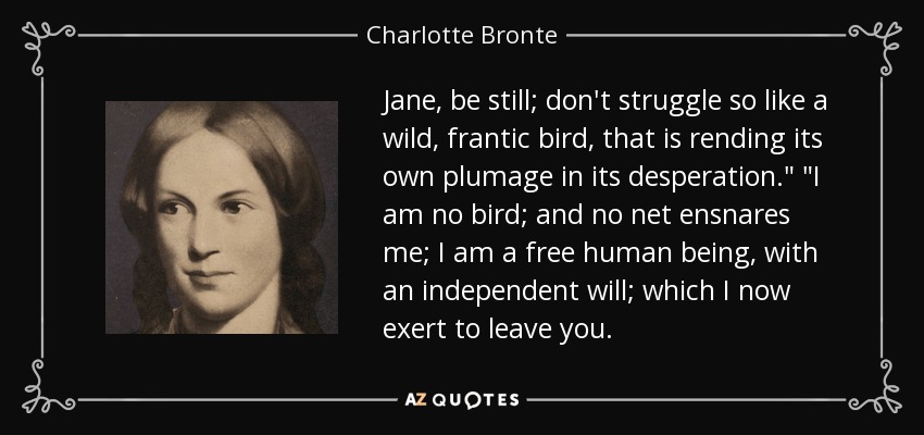 Jane, be still; don't struggle so like a wild, frantic bird, that is rending its own plumage in its desperation.
