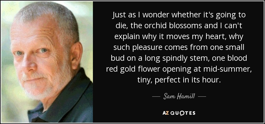 Just as I wonder whether it's going to die, the orchid blossoms and I can't explain why it moves my heart, why such pleasure comes from one small bud on a long spindly stem, one blood red gold flower opening at mid-summer, tiny, perfect in its hour. - Sam Hamill