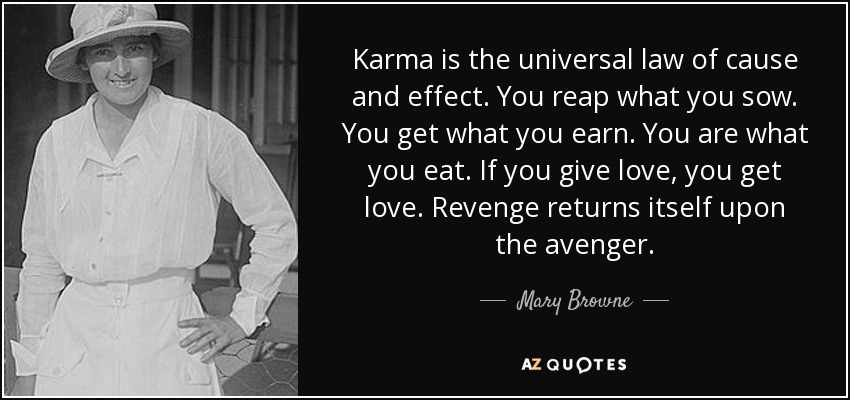 Karma is the universal law of cause and effect. You reap what you sow. You get what you earn. You are what you eat. If you give love, you get love. Revenge returns itself upon the avenger. - Mary Browne