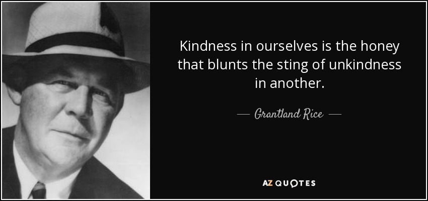 Kindness in ourselves is the honey that blunts the sting of unkindness in another. - Grantland Rice