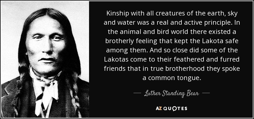 Kinship with all creatures of the earth, sky and water was a real and active principle. In the animal and bird world there existed a brotherly feeling that kept the Lakota safe among them. And so close did some of the Lakotas come to their feathered and furred friends that in true brotherhood they spoke a common tongue. - Luther Standing Bear
