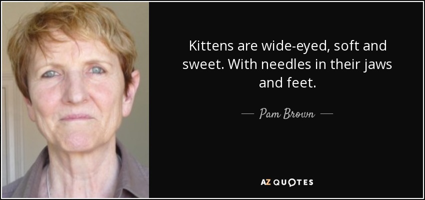 Kittens are wide-eyed, soft and sweet. With needles in their jaws and feet. - Pam Brown