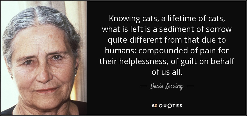 Knowing cats, a lifetime of cats, what is left is a sediment of sorrow quite different from that due to humans: compounded of pain for their helplessness, of guilt on behalf of us all. - Doris Lessing