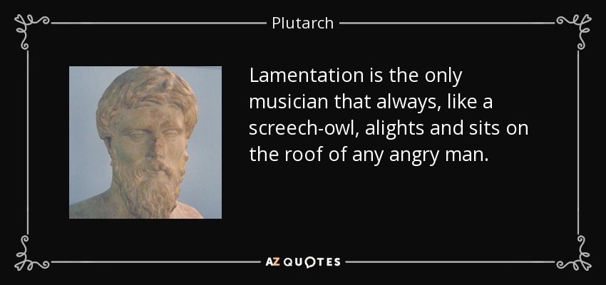 Lamentation is the only musician that always, like a screech-owl, alights and sits on the roof of any angry man. - Plutarch