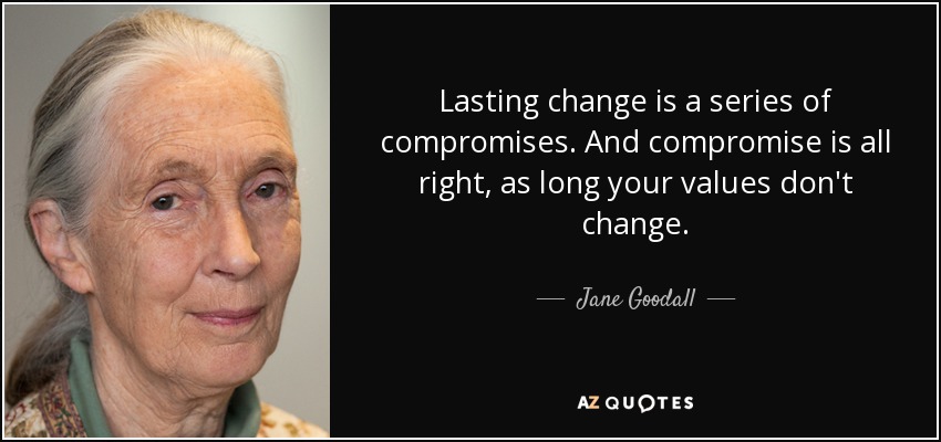 Lasting change is a series of compromises. And compromise is all right, as long your values don't change. - Jane Goodall