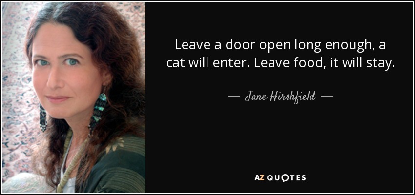 Leave a door open long enough, a cat will enter. Leave food, it will stay. - Jane Hirshfield