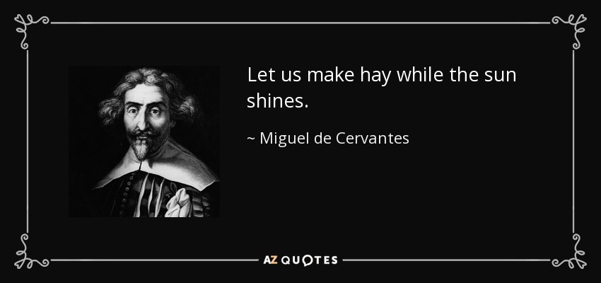 Let us make hay while the sun shines. - Miguel de Cervantes