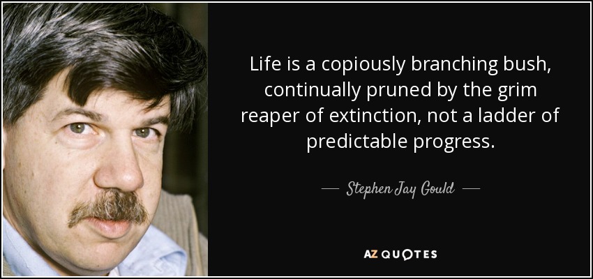 Life is a copiously branching bush, continually pruned by the grim reaper of extinction, not a ladder of predictable progress. - Stephen Jay Gould