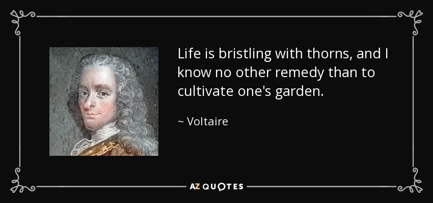 Life is bristling with thorns, and I know no other remedy than to cultivate one's garden. - Voltaire