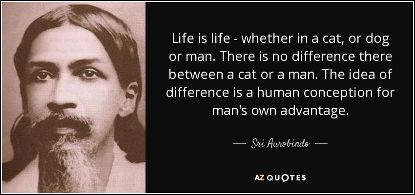 Life is life - whether in a cat, or dog or man. There is no difference there between a cat or a man. The idea of difference is a human conception for man's own advantage. - Sri Aurobindo