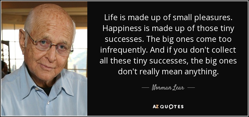 Life is made up of small pleasures. Happiness is made up of those tiny successes. The big ones come too infrequently. And if you don't collect all these tiny successes, the big ones don't really mean anything. - Norman Lear