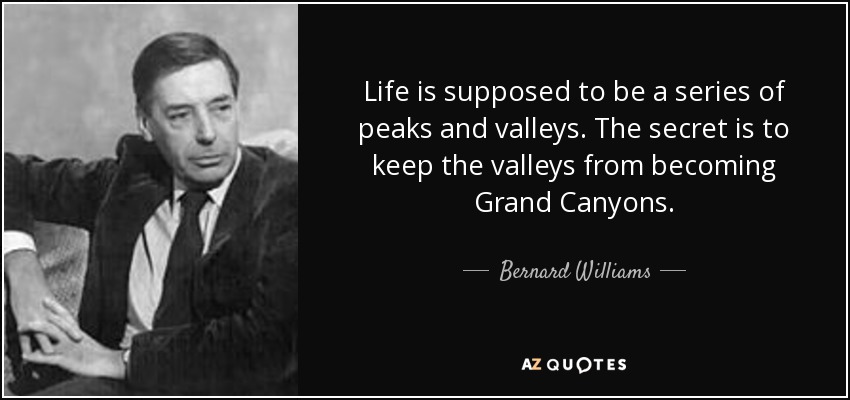 Life is supposed to be a series of peaks and valleys. The secret is to keep the valleys from becoming Grand Canyons. - Bernard Williams