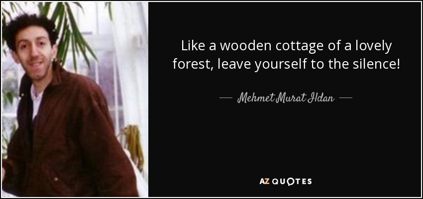Like a wooden cottage of a lovely forest, leave yourself to the silence! - Mehmet Murat Ildan