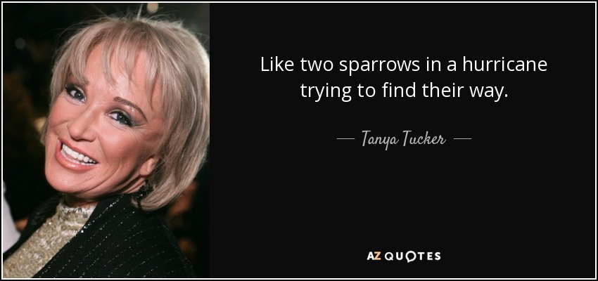Like two sparrows in a hurricane trying to find their way. - Tanya Tucker