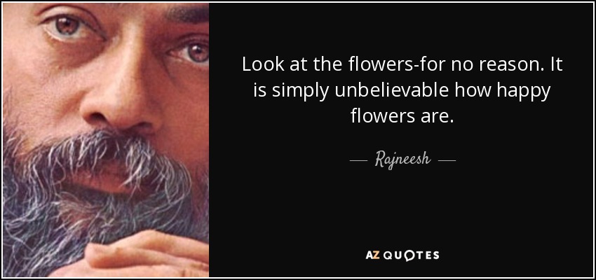 Look at the flowers-for no reason. It is simply unbelievable how happy flowers are. - Rajneesh