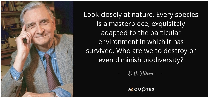 Look closely at nature. Every species is a masterpiece, exquisitely adapted to the particular environment in which it has survived. Who are we to destroy or even diminish biodiversity? - E. O. Wilson