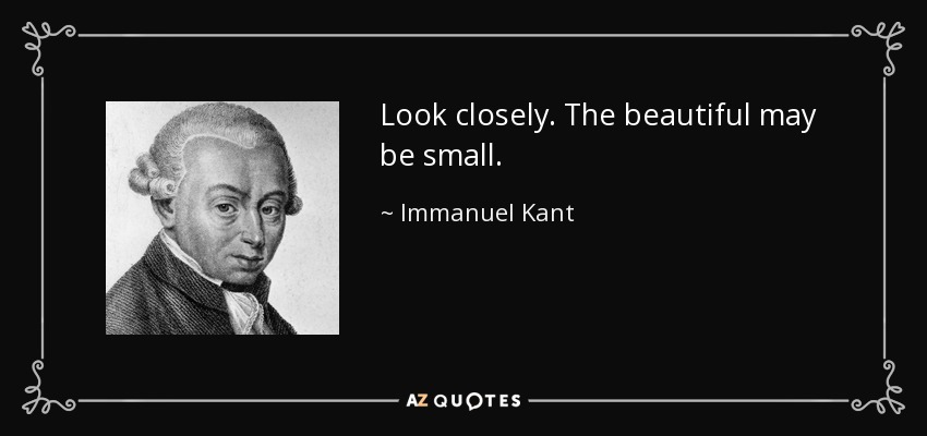 Look closely. The beautiful may be small. - Immanuel Kant