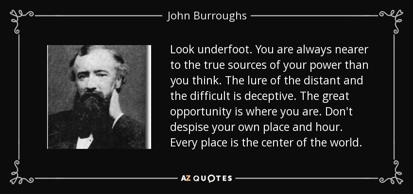 Look underfoot. You are always nearer to the true sources of your power than you think. The lure of the distant and the difficult is deceptive. The great opportunity is where you are. Don't despise your own place and hour. Every place is the center of the world. - John Burroughs