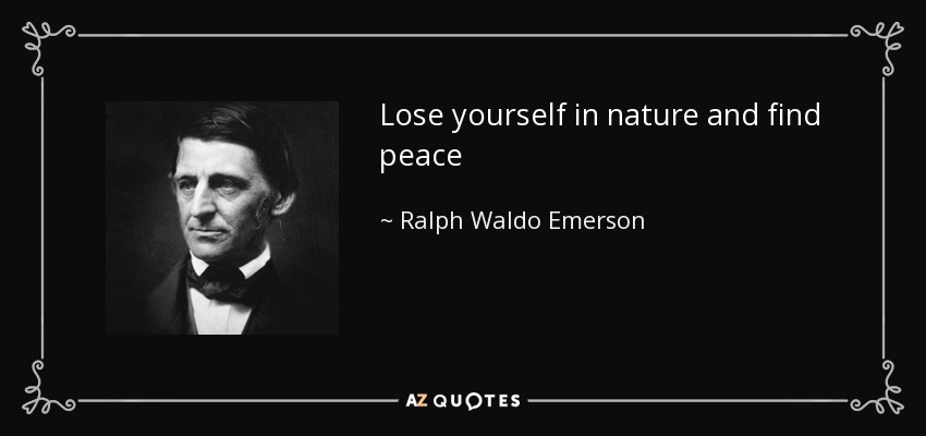 Lose yourself in nature and find peace - Ralph Waldo Emerson