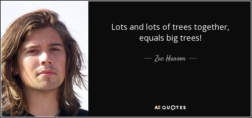 Lots and lots of trees together, equals big trees! - Zac Hanson
