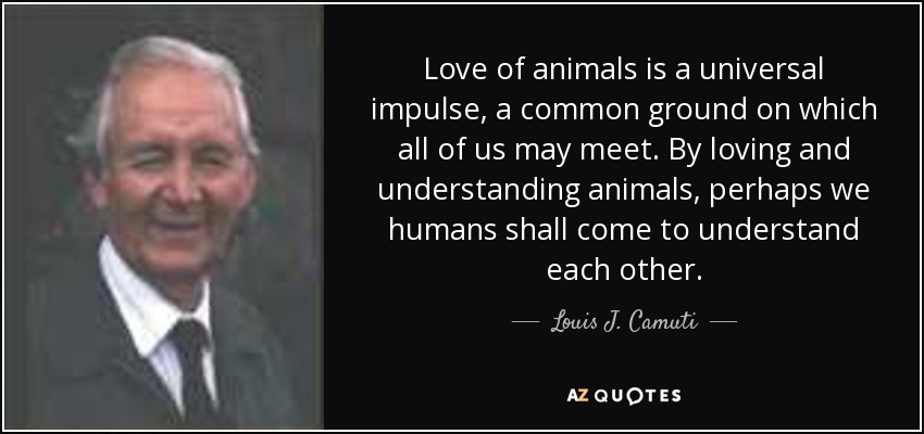 Love of animals is a universal impulse, a common ground on which all of us may meet. By loving and understanding animals, perhaps we humans shall come to understand each other. - Louis J. Camuti