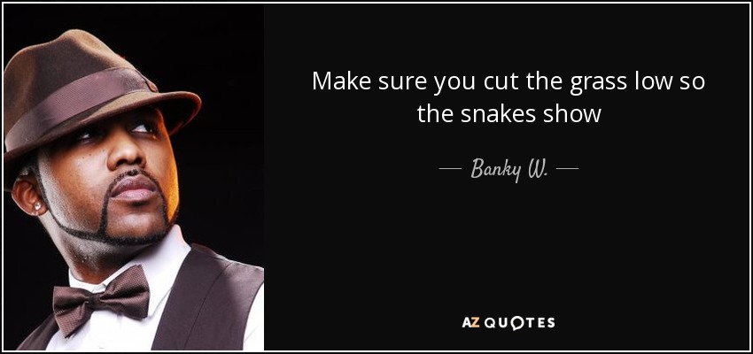 Make sure you cut the grass low so the snakes show - Banky W.