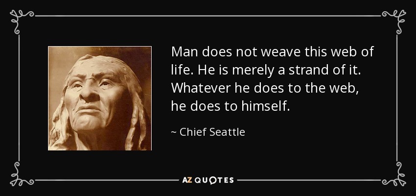 Man does not weave this web of life. He is merely a strand of it. Whatever he does to the web, he does to himself. - Chief Seattle