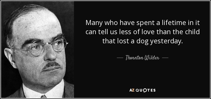 Many who have spent a lifetime in it can tell us less of love than the child that lost a dog yesterday. - Thornton Wilder
