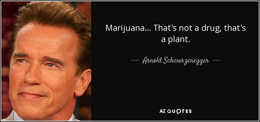 Marijuana... That's not a drug, that's a plant. - Arnold Schwarzenegger