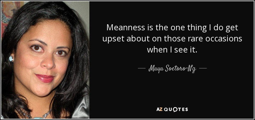 Meanness is the one thing I do get upset about on those rare occasions when I see it. - Maya Soetoro-Ng