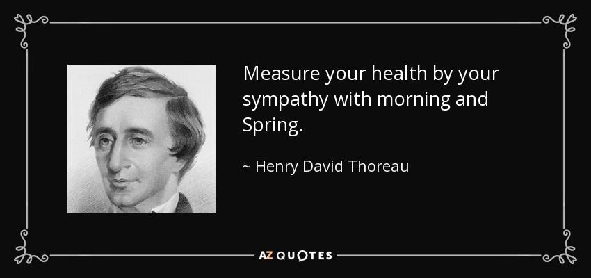 Measure your health by your sympathy with morning and Spring. - Henry David Thoreau