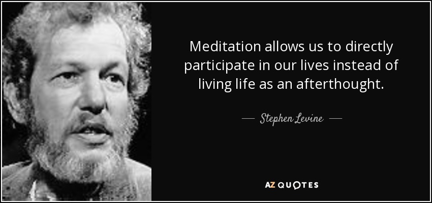 Meditation allows us to directly participate in our lives instead of living life as an afterthought. - Stephen Levine