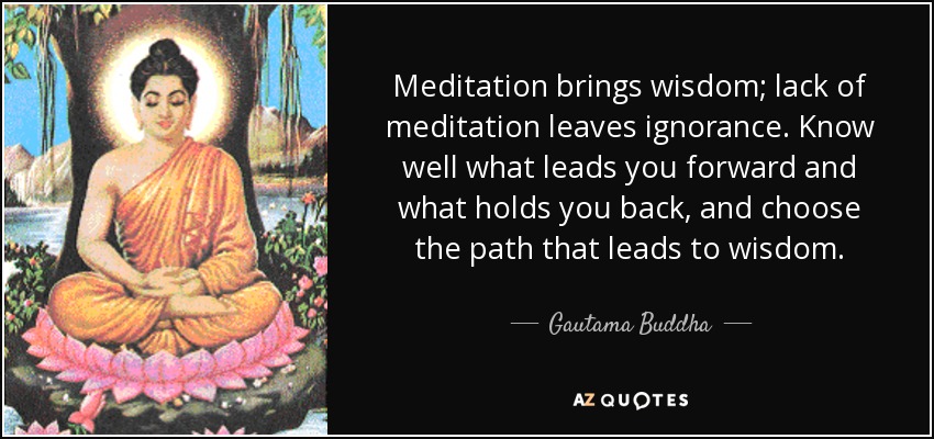 Meditation brings wisdom; lack of meditation leaves ignorance. Know well what leads you forward and what holds you back, and choose the path that leads to wisdom. - Gautama Buddha