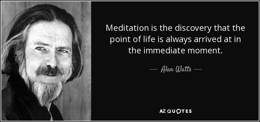 Meditation is the discovery that the point of life is always arrived at in the immediate moment. - Alan Watts