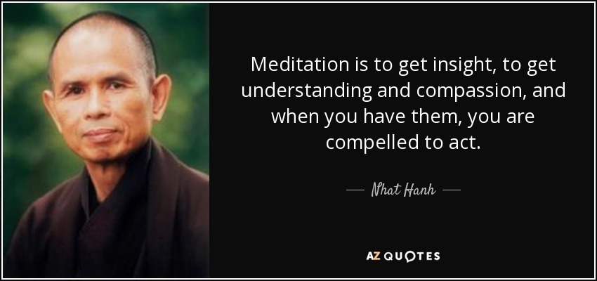 Meditation is to get insight, to get understanding and compassion, and when you have them, you are compelled to act. - Nhat Hanh
