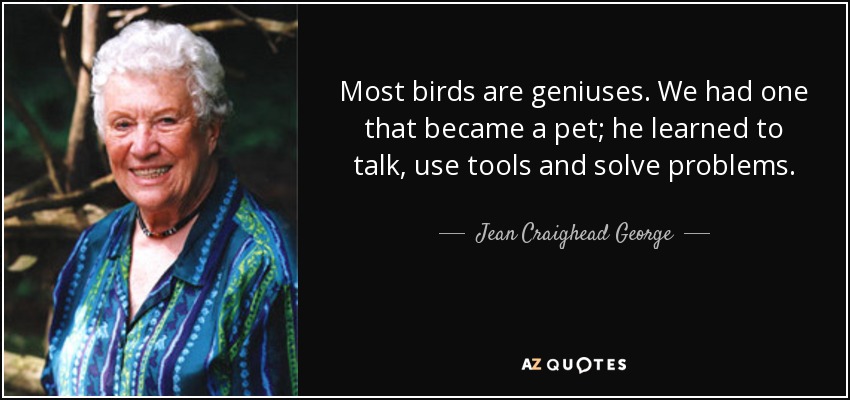 Most birds are geniuses. We had one that became a pet; he learned to talk, use tools and solve problems. - Jean Craighead George