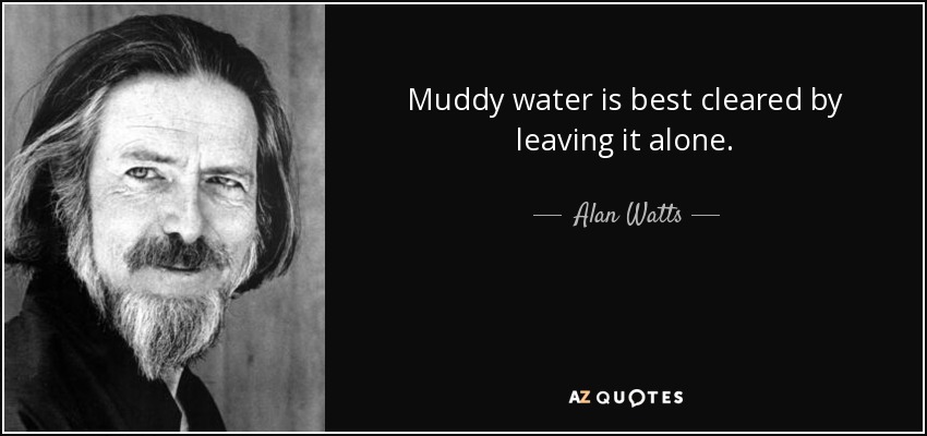 Muddy water is best cleared by leaving it alone. - Alan Watts